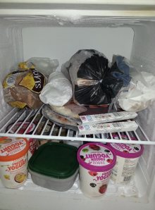 My Freezer