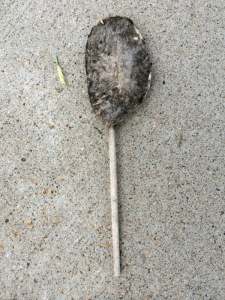 unidentifiable-on-a-stick