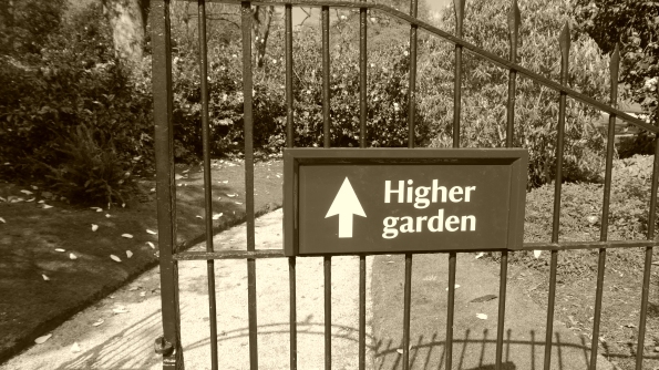 Higher Garden