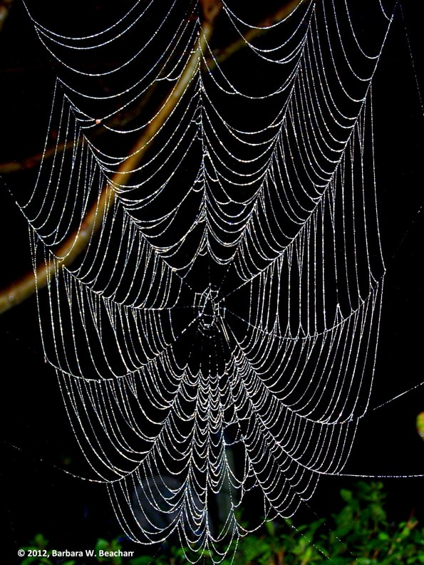 2015-06-01-bw-beacham